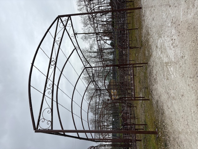 Pergola en fer forgé